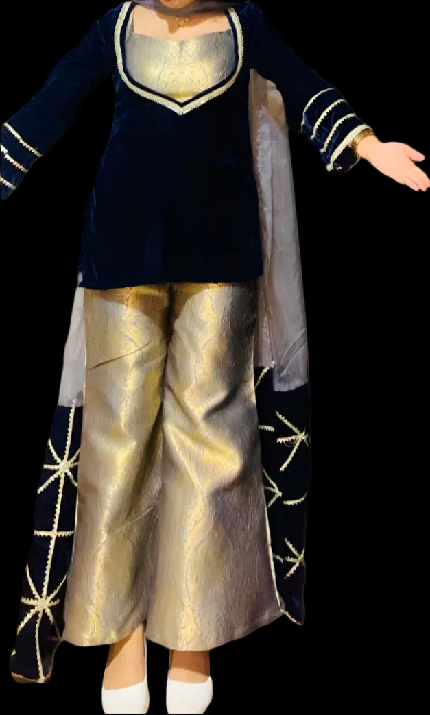 Honey Velvet- Pure Banarsi Brocade Duo (Shade- Grey & Blue)